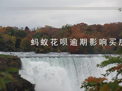 蚂蚁花呗逾期影响买房吗