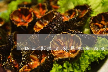 蚂蚁花呗逾期影响微粒贷 蚂蚁花呗逾期影响微粒贷