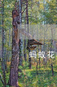 蚂蚁花呗逾期影响贷款买房吗 蚂蚁花呗逾期影响贷款买房吗