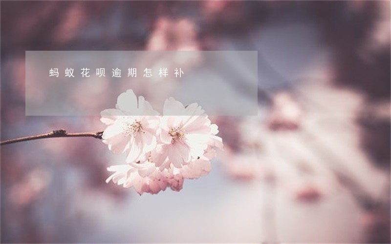 蚂蚁花呗逾期怎样补 蚂蚁花呗逾期怎样补