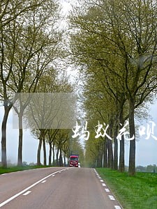 蚂蚁花呗逾期恢复使用 蚂蚁花呗逾期恢复使用