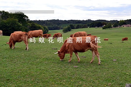 蚂蚁花呗逾期最低 蚂蚁花呗逾期最低