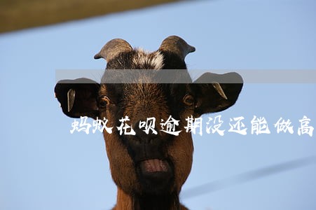 蚂蚁花呗逾期没还能做高铁吗