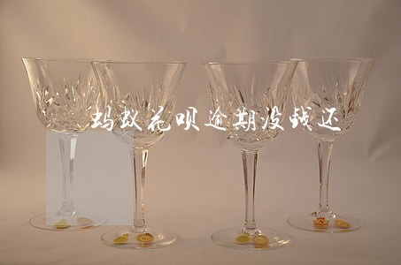 蚂蚁花呗逾期没钱还 蚂蚁花呗逾期没钱还