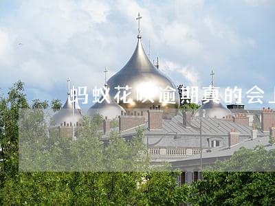 蚂蚁花呗逾期真的会上门来找 蚂蚁花呗逾期真的会上门来找