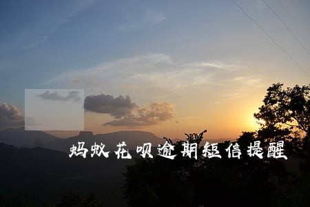 蚂蚁花呗逾期短信提醒 蚂蚁花呗逾期短信提醒