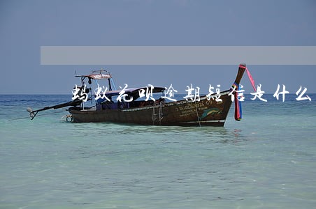 蚂蚁花呗逾期短信是什么样的 蚂蚁花呗逾期短信是什么样的