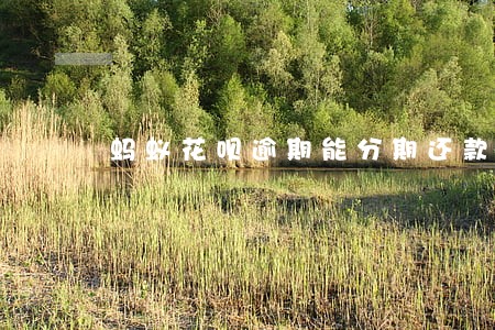 蚂蚁花呗逾期能分期还款期限