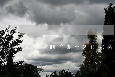 蚂蚁花呗逾期至20号会怎样 蚂蚁花呗逾期至20号会怎样
