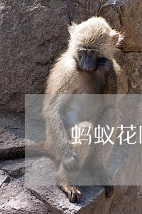 蚂蚁花呗逾期芝麻分严重下降 蚂蚁花呗逾期芝麻分严重下降