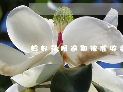 蚂蚁花呗逾期被催收会怎样 蚂蚁花呗逾期被催收会怎样