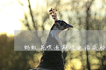 蚂蚁花呗逾期被电话威胁 蚂蚁花呗逾期被电话威胁