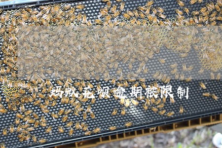 蚂蚁花呗逾期被限制 蚂蚁花呗逾期被限制