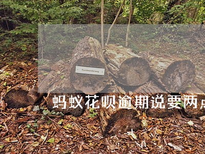 蚂蚁花呗逾期说要两点之前立案 蚂蚁花呗逾期说要两点之前立案