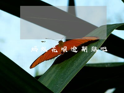 蚂蚁花呗逾期贴吧