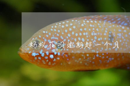 蚂蚁花呗逾期超一个月 蚂蚁花呗逾期超一个月