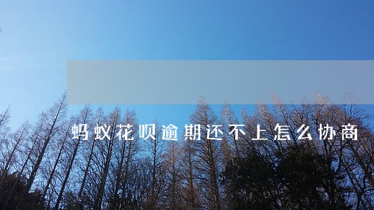 蚂蚁花呗逾期还不上怎么协商 蚂蚁花呗逾期还不上怎么协商