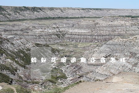 蚂蚁花呗逾期还会怎样 蚂蚁花呗逾期还会怎样