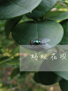 蚂蚁花呗逾期还完 蚂蚁花呗逾期还完