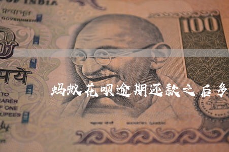 蚂蚁花呗逾期还款之后多久可以用