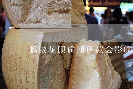 蚂蚁花呗逾期还款会影响征信 蚂蚁花呗逾期还款会影响征信