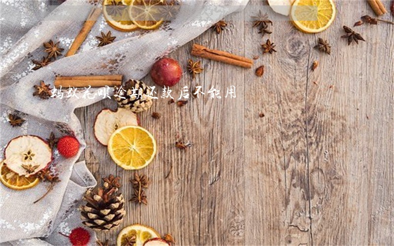 蚂蚁花呗逾期还款后不能用 蚂蚁花呗逾期还款后不能用