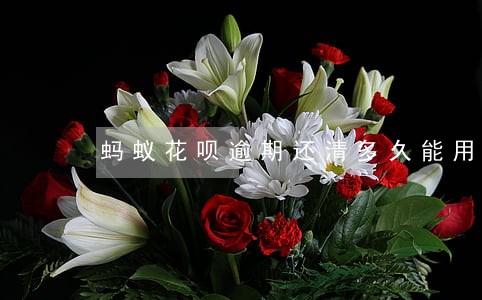 蚂蚁花呗逾期还清多久能用 蚂蚁花呗逾期还清多久能用