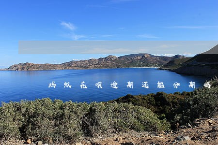 蚂蚁花呗逾期还能分期吗 蚂蚁花呗逾期还能分期吗