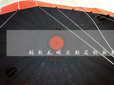 蚂蚁花呗逾期还能涨额度么 蚂蚁花呗逾期还能涨额度么