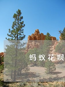 蚂蚁花呗逾期还能网购吗 蚂蚁花呗逾期还能网购吗