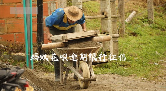 蚂蚁花呗逾期银行征信 蚂蚁花呗逾期银行征信