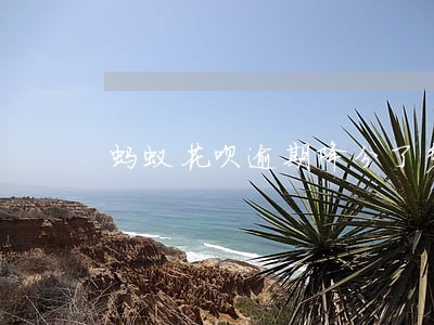 蚂蚁花呗逾期降分了多久提 蚂蚁花呗逾期降分了多久提