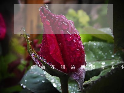 蚂蚁花呗逾期额度多少会被上门 蚂蚁花呗逾期额度多少会被上门