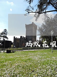 蚂蚁花呗部分逾期利息