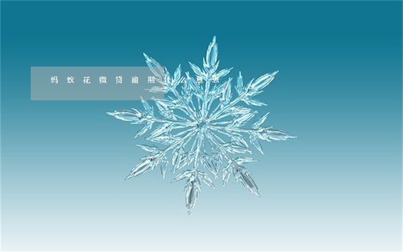 蚂蚁花微贷逾期什么意思 蚂蚁花微贷逾期什么意思