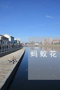 蚂蚁花逾期利息一直涨吗 蚂蚁花逾期利息一直涨吗