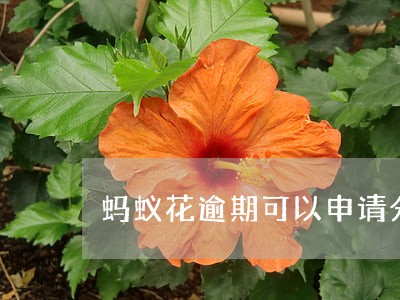 蚂蚁花逾期可以申请分期还吗 蚂蚁花逾期可以申请分期还吗