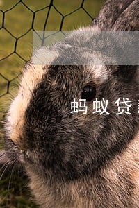 蚂蚁贷款逾期会怎么样 蚂蚁贷款逾期会怎么样