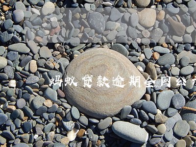 蚂蚁贷款逾期全网公示 蚂蚁贷款逾期全网公示