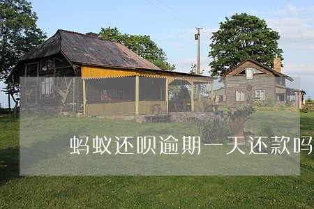 蚂蚁还呗逾期一天还款吗 蚂蚁还呗逾期一天还款吗