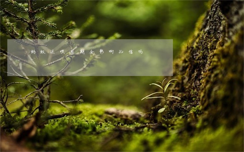 蚂蚁还呗逾期会影响征信吗