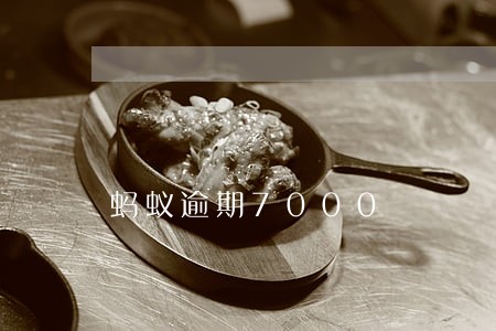 蚂蚁逾期7000 蚂蚁逾期7000