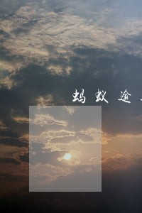 蚂蚁逾期两年的 蚂蚁逾期两年的