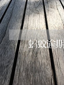 蚂蚁逾期多久会上征信系统 蚂蚁逾期多久会上征信系统