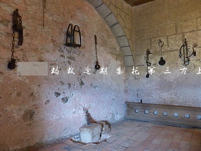 蚂蚁逾期委托第三方上门 蚂蚁逾期委托第三方上门