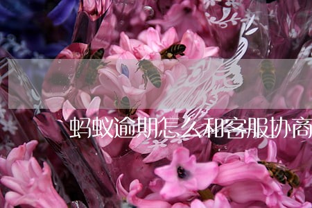 蚂蚁逾期怎么和客服协商 蚂蚁逾期怎么和客服协商