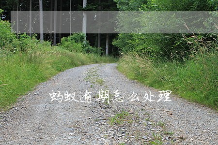 蚂蚁逾期怎么处理 蚂蚁逾期怎么处理