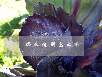 蚂蚁逾期怎么补 蚂蚁逾期怎么补