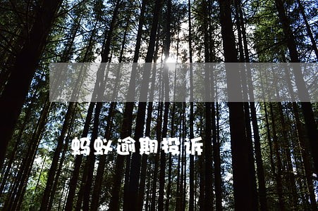 蚂蚁逾期投诉 蚂蚁逾期投诉