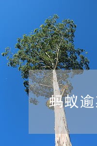 蚂蚁逾期钱怎么算的 蚂蚁逾期钱怎么算的
